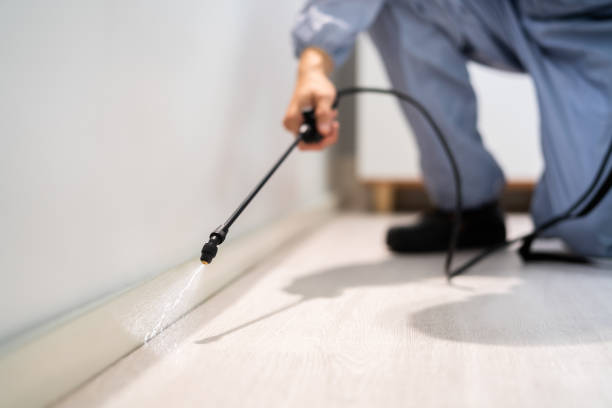 Pest Control Cost in Reading, PA